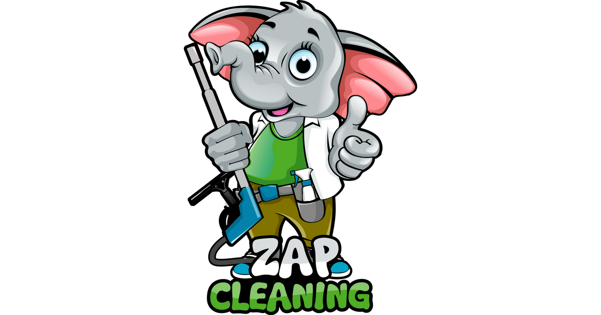 ZAP Cleaning 227 Customer Reviews with a 5Star Rating
