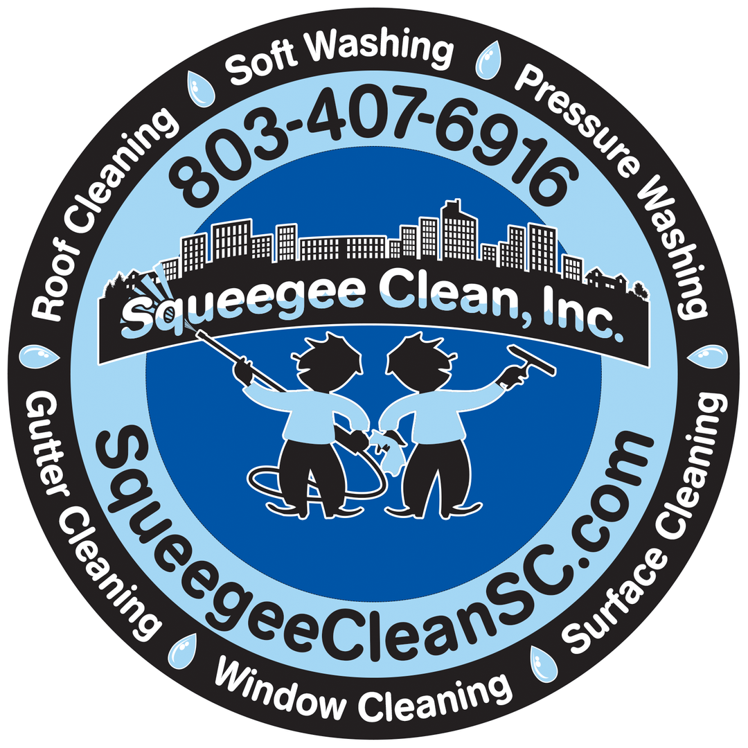 What is the Difference Between Soft Washing and Pressure Washing?