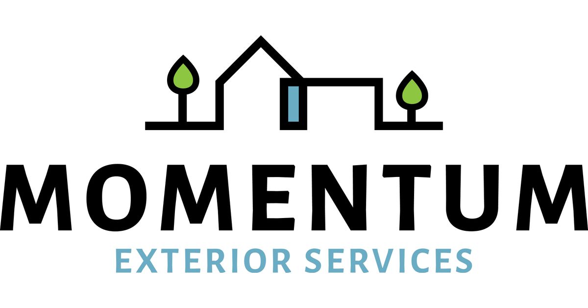 Services » Momentum Co