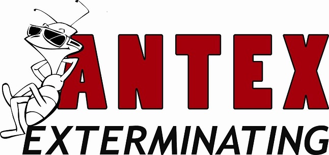 Antex Exterminating